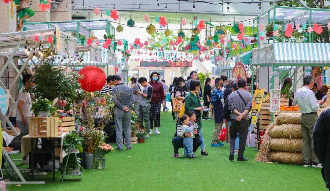 53岁的朱茵如此反差，住深山老楼，开97年二手车，却羡慕哭千万人