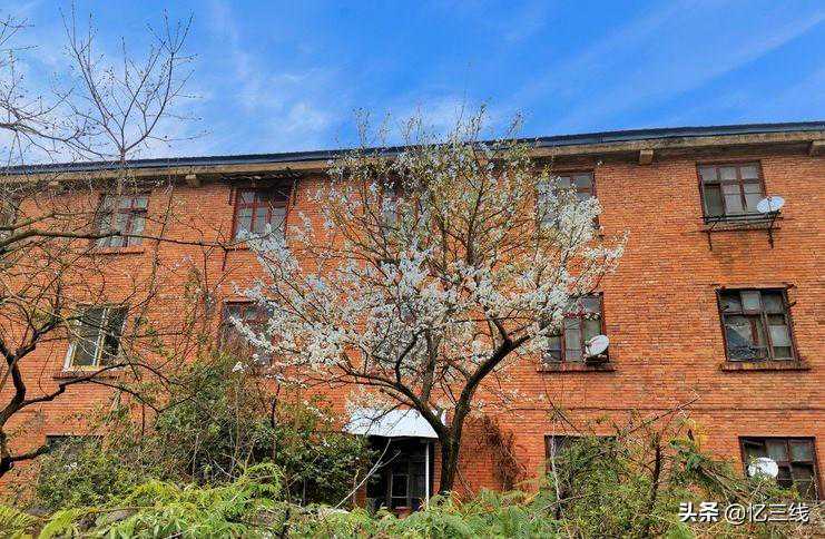 婚姻这场人间清醒局：先活明白，再谈余生