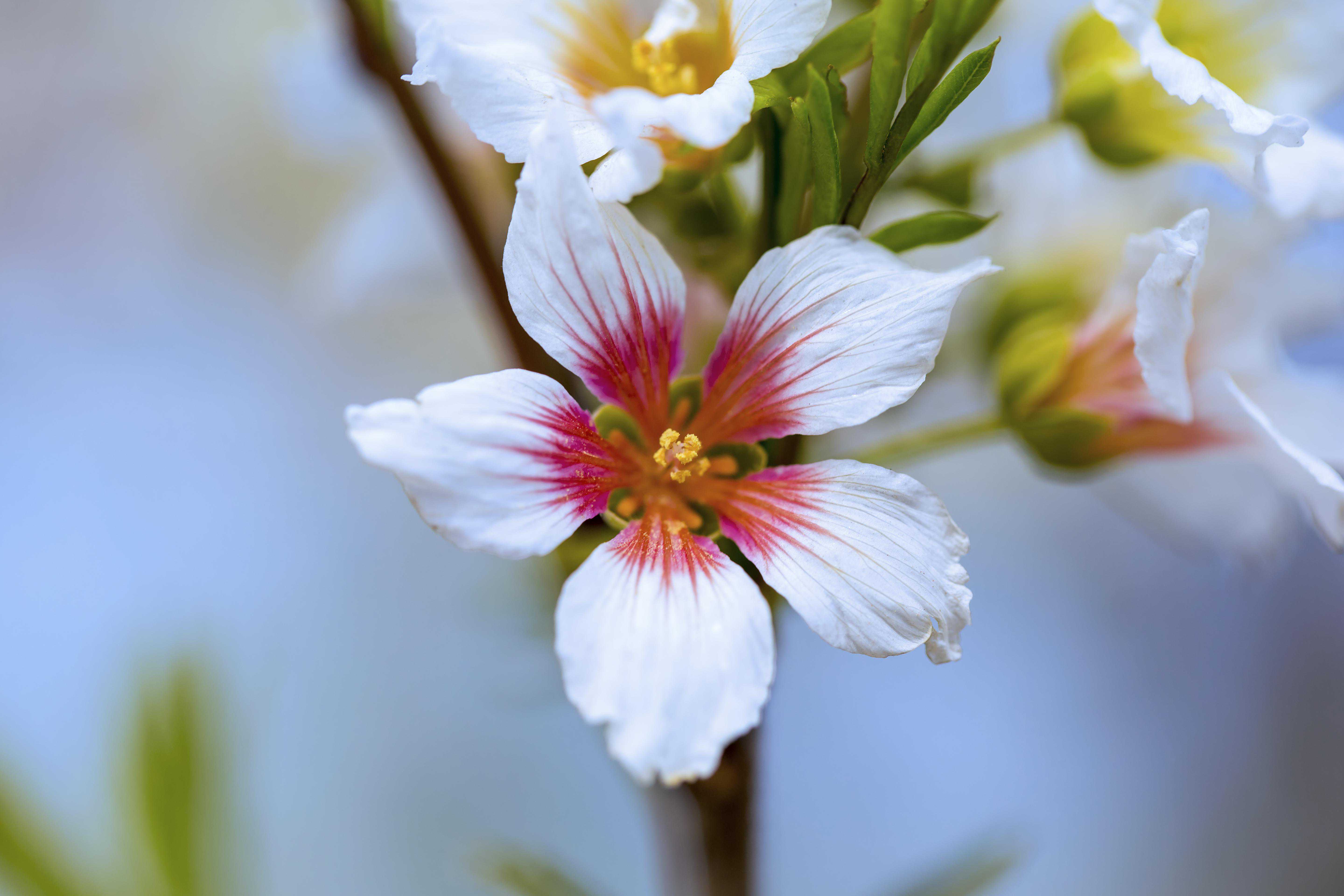 孩子未来的运势,藏在父母的嘴里