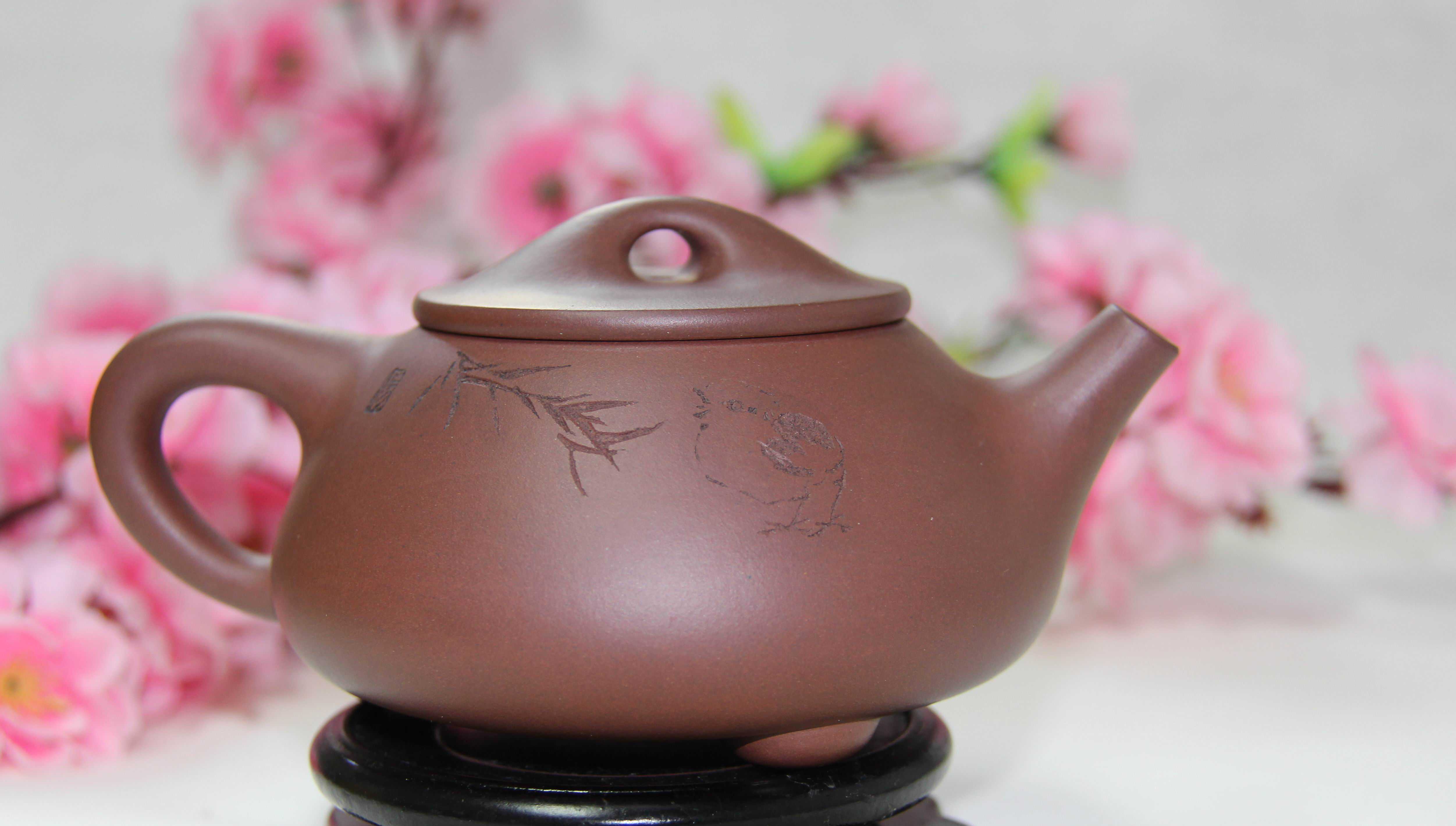 宠物窝摆放指南:属猴人猫窝朝东,属兔人狗窝避西北