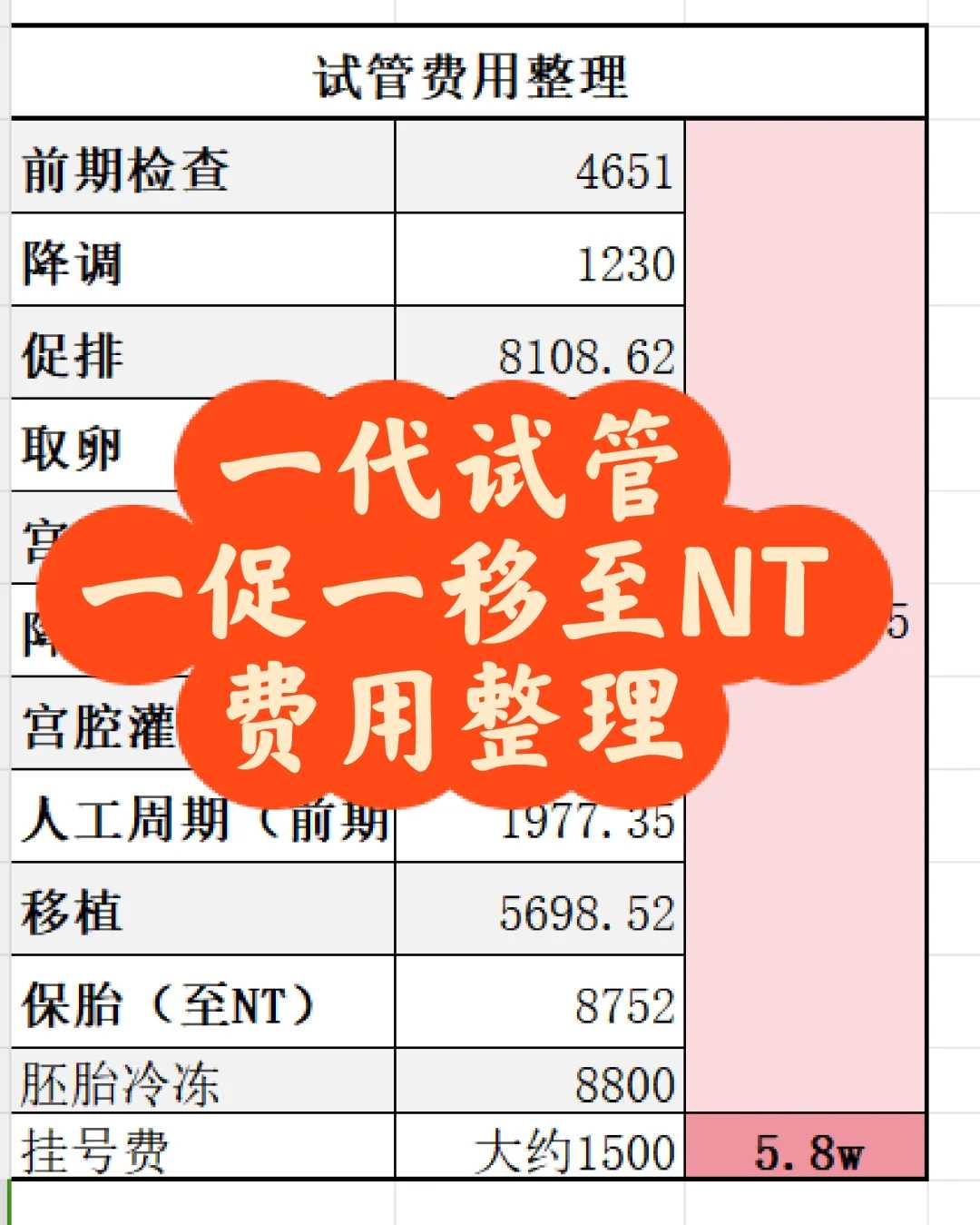 生肖羊本周运势大起底,本周机遇与风险并存,如何破局?看这里